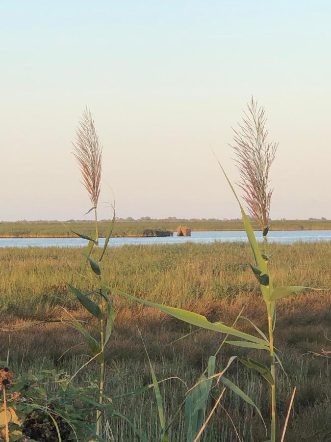 Mare&Terra... Alloggi Nel Delta Polesine Camerini Εξωτερικό φωτογραφία