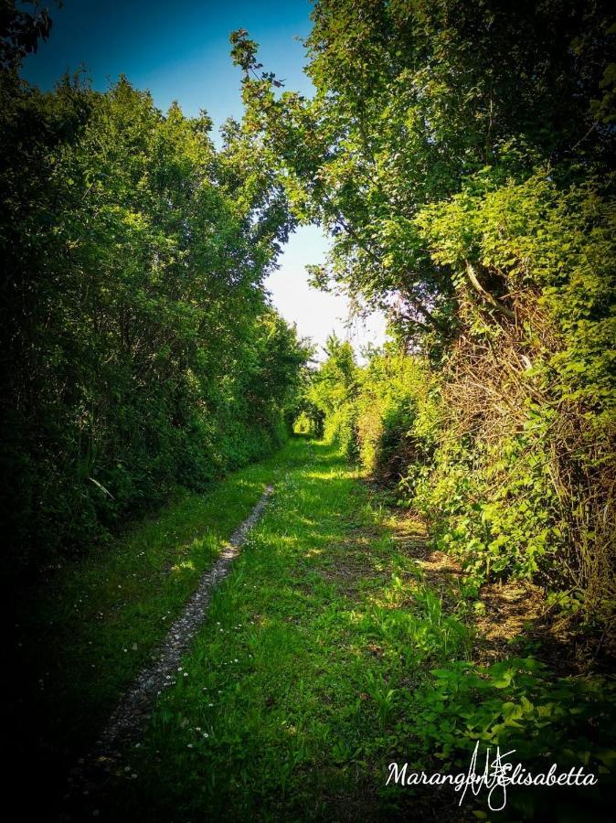 Mare&Terra... Alloggi Nel Delta Polesine Camerini Εξωτερικό φωτογραφία